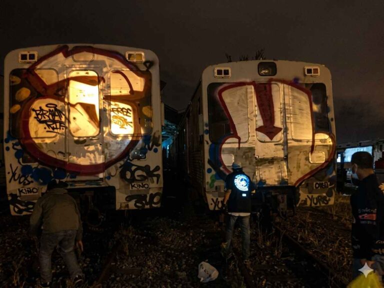 Graffiti en Trenes